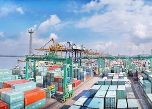 借 進(jìn)博會(huì) 東風(fēng), 看不見(jiàn)的商品 助力我國(guó)產(chǎn)業(yè)升級(jí)